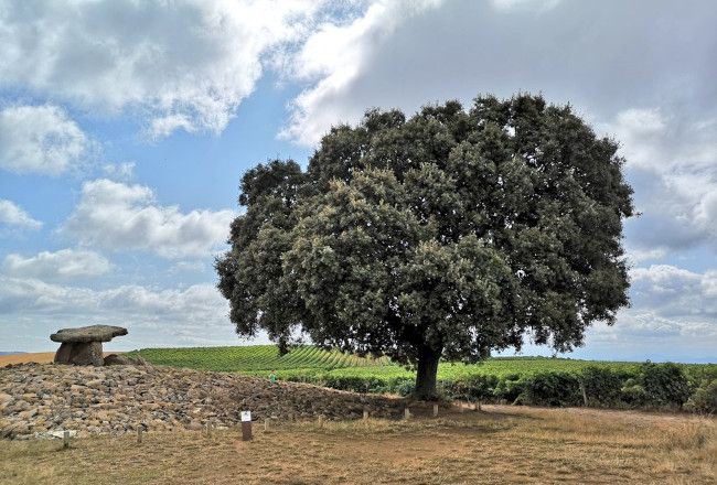 Dolmen de la chabola de la hechicera