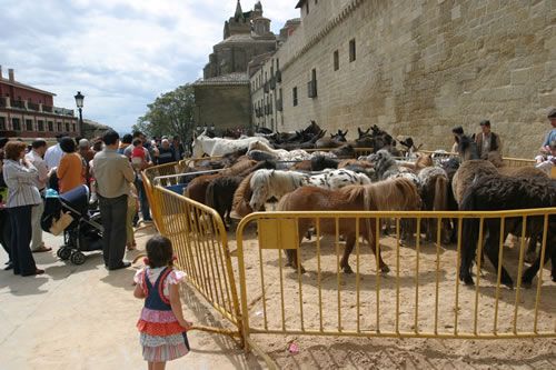 Vista de la Plaza Nueva de Laguardia con la feria agroganadera de San Isidro